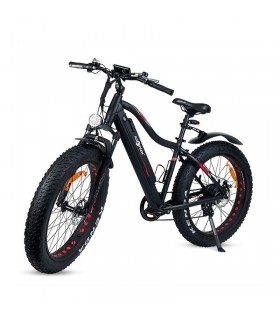 Vélo électrique XL